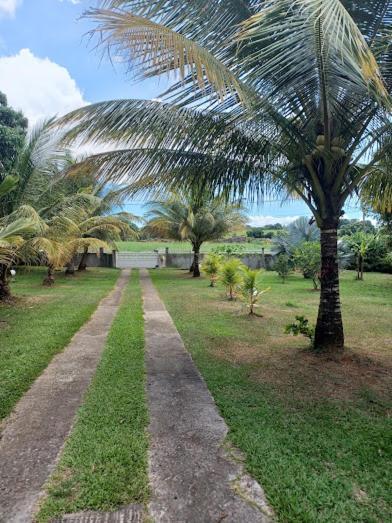 Ti Bijou Villa Baie-Mahault Exterior photo
